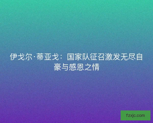 伊戈尔·蒂亚戈：国家队征召激发无尽自豪与感恩之情